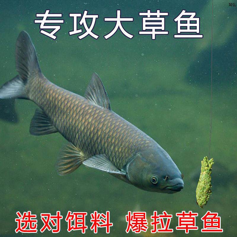 钓草鱼专用饵料野钓青草鱼专攻黑台钓饵