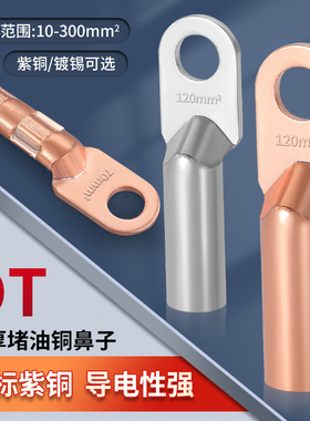 国标DT铜鼻子接线端子16/35/50/70/95/120/150/185/240/300平方