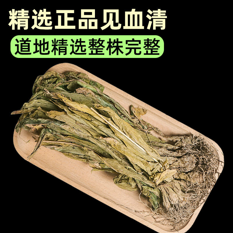 见血清草药中药材正品干货整棵羊耳蒜贵州深山非野生见血清的功效