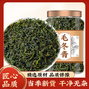 毛冬青云南野生茶的功效中药材正品泡水喝500g非野生特级毛冬青片