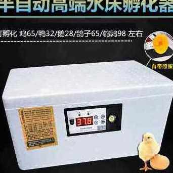 新新品新能孵化器小型家用孵化机全自动智能O鸡鸭鹅鸽蛋保U温箱品