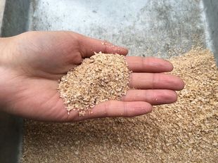 极速麦麸皮小麦麸 鸡虫吃细麦麸粗C麦麸子 钓鱼麦麸麦皮饲料热敷