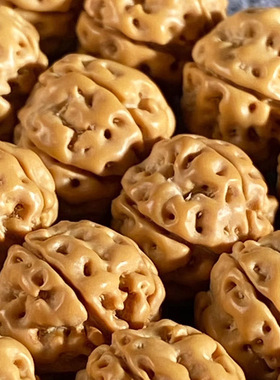 极速小金刚菩e提子花王手串项链108颗梅花桩树神 爆肉原籽佛珠野