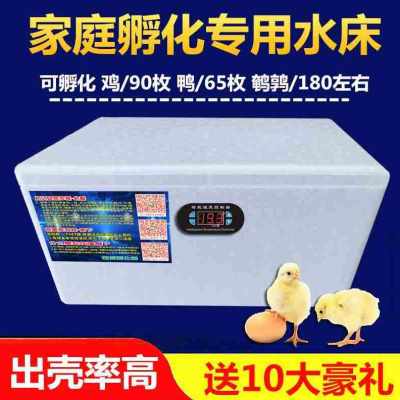 厂销水床孵c化器家用型鸡鸭鹅孵化机w55枚小型90枚卵蛋箱全自动控