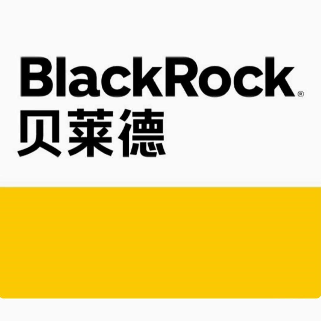 2026BlackRock贝莱德VI测评网测pre interview视频面试VCL测评