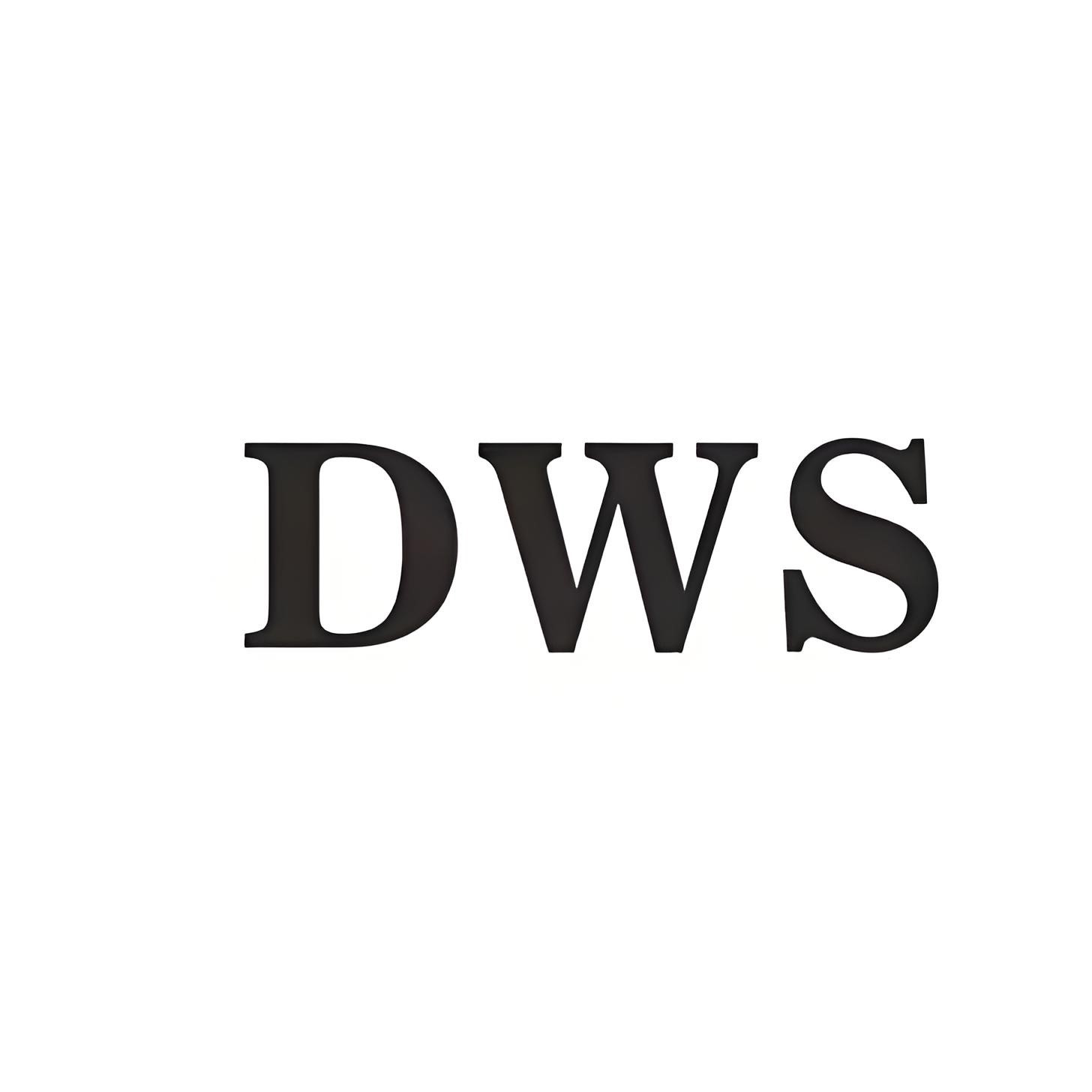 DWS公司招聘网测ot笔试vi平面广告设计
