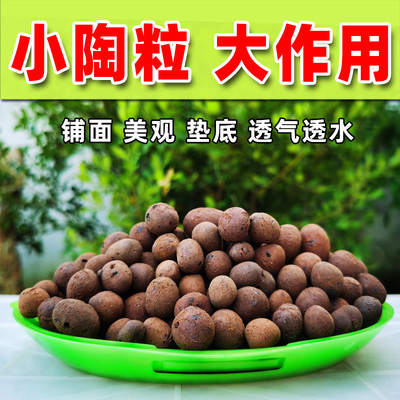 透气防烂根发财树垫底颗粒铺面石