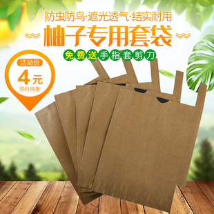 柚子套袋专用袋水果套袋沙田柚蜜柚葡萄柚水果套袋专用袋防鸟防虫