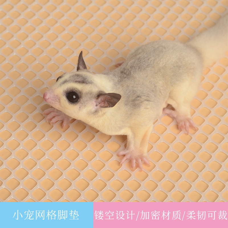 宠物脚垫