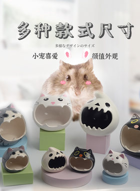 降温窝松鼠大号贝壳荷兰猪