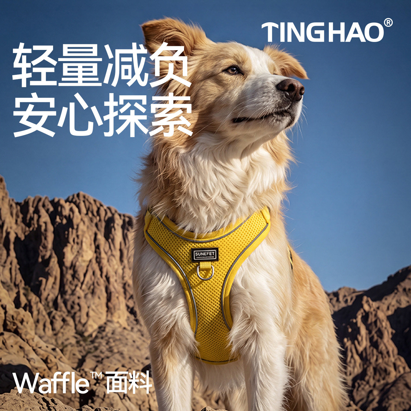 轻薄透气夏季专属狗狗胸背带套装图片