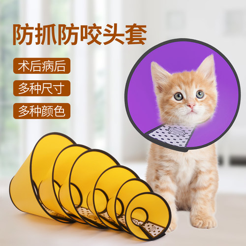 伊丽莎白圈狗猫咪脖套耻辱绝育