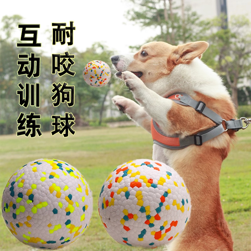 耐咬球彈力互動神器柯基用品狗狗