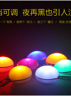 狗狗led发光吊坠防走失遛狗灯泰迪防车祸狗灯闪光灯宠物项圈装饰