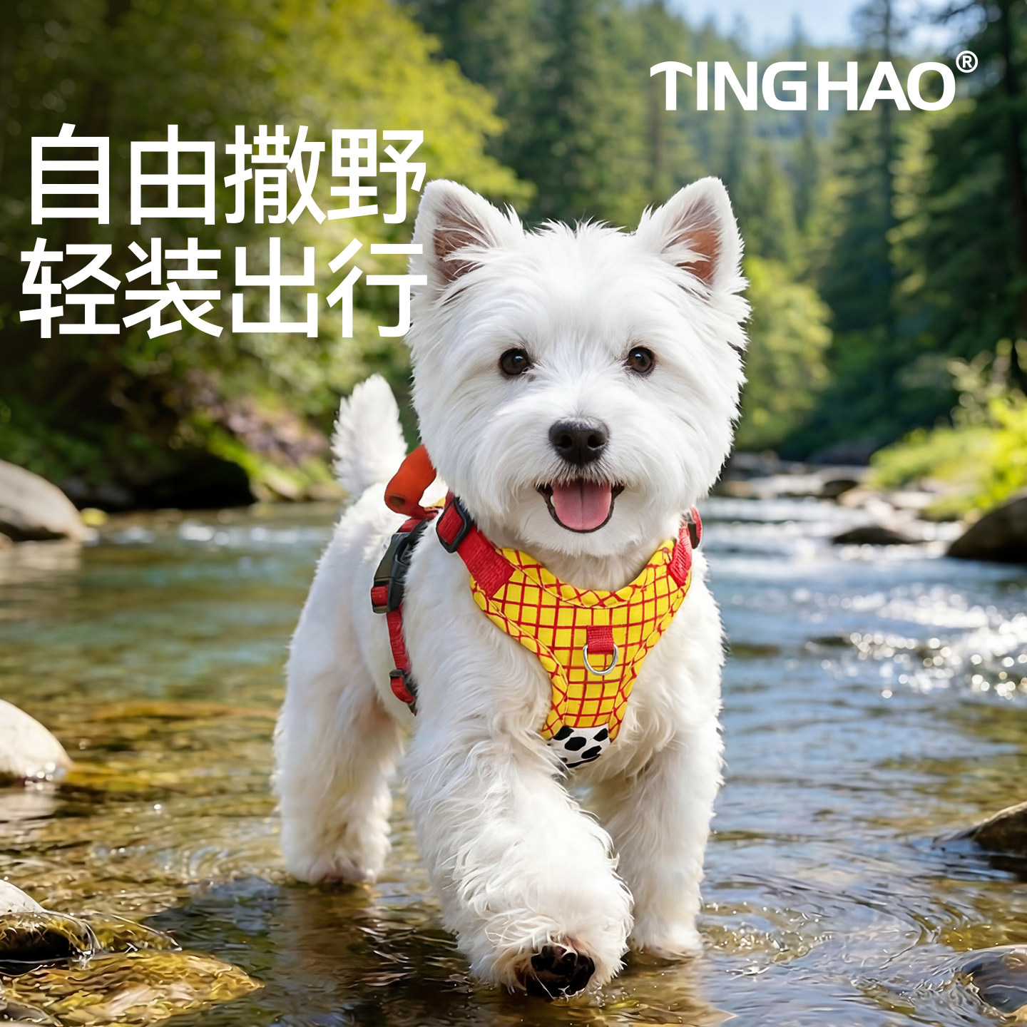【外出游玩&轻盈透气】狗狗胸背图片