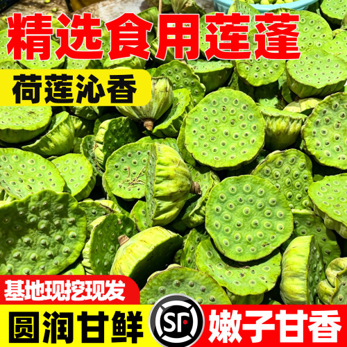 莲蓬新鲜现摘莲子生吃孕妇水果
