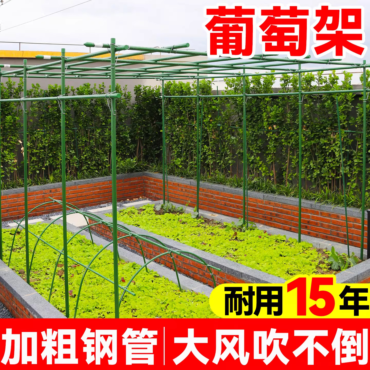 庭院户外包塑钢管爬藤葡萄架