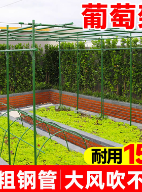 葡萄架子庭院户外葫芦爬藤架百香果攀爬架支撑包塑钢管瓜架杆家用