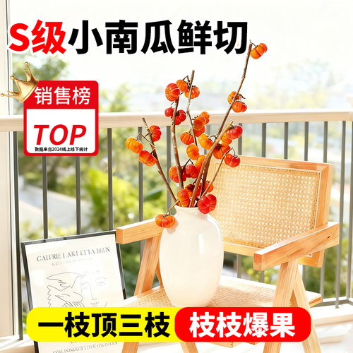 小南瓜鲜花云南基地直发顺丰次日