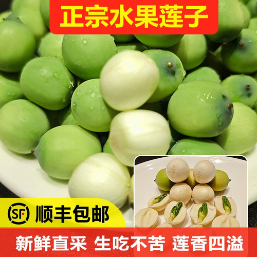 速冻莲子现摘现剥水果莲子当季