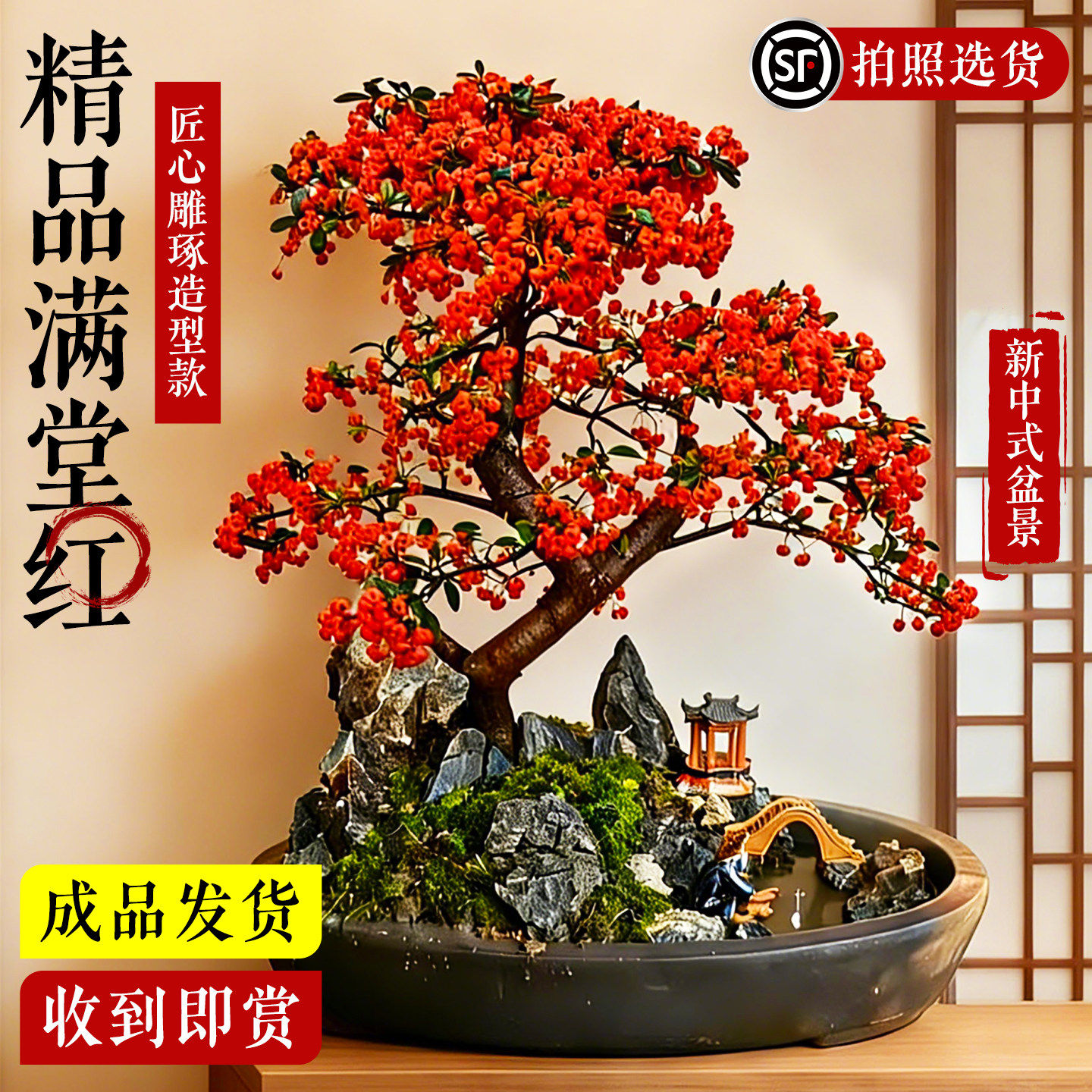 精品满堂红老桩盆景新中式