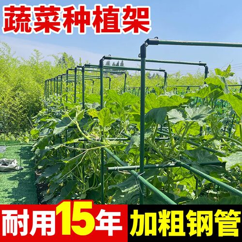 爬藤架葡萄黄瓜豆角西瓜架丝