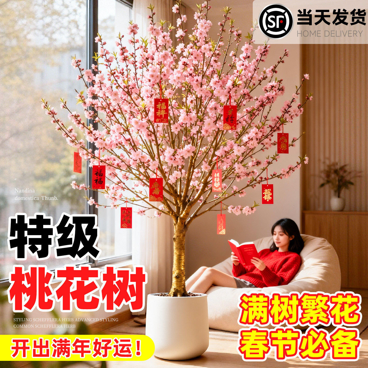 桃花树盆栽室内客厅大型绿植年宵