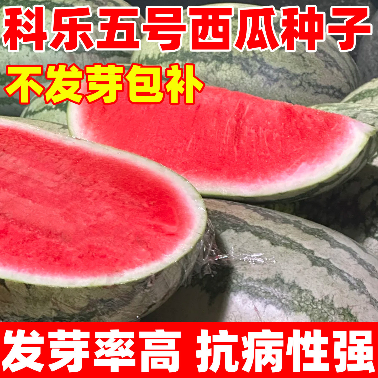 科乐五号西瓜种子巨型懒汉瓜王硒砂大瓜四季高产早熟脆甜多汁西瓜,鲜花速递/花卉仿真/绿植园艺,家庭园艺种子,淘宝优惠券,粉丝福利购,淘宝优惠卷