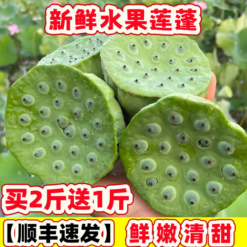 新鲜莲蓬现摘生吃水果莲子当季