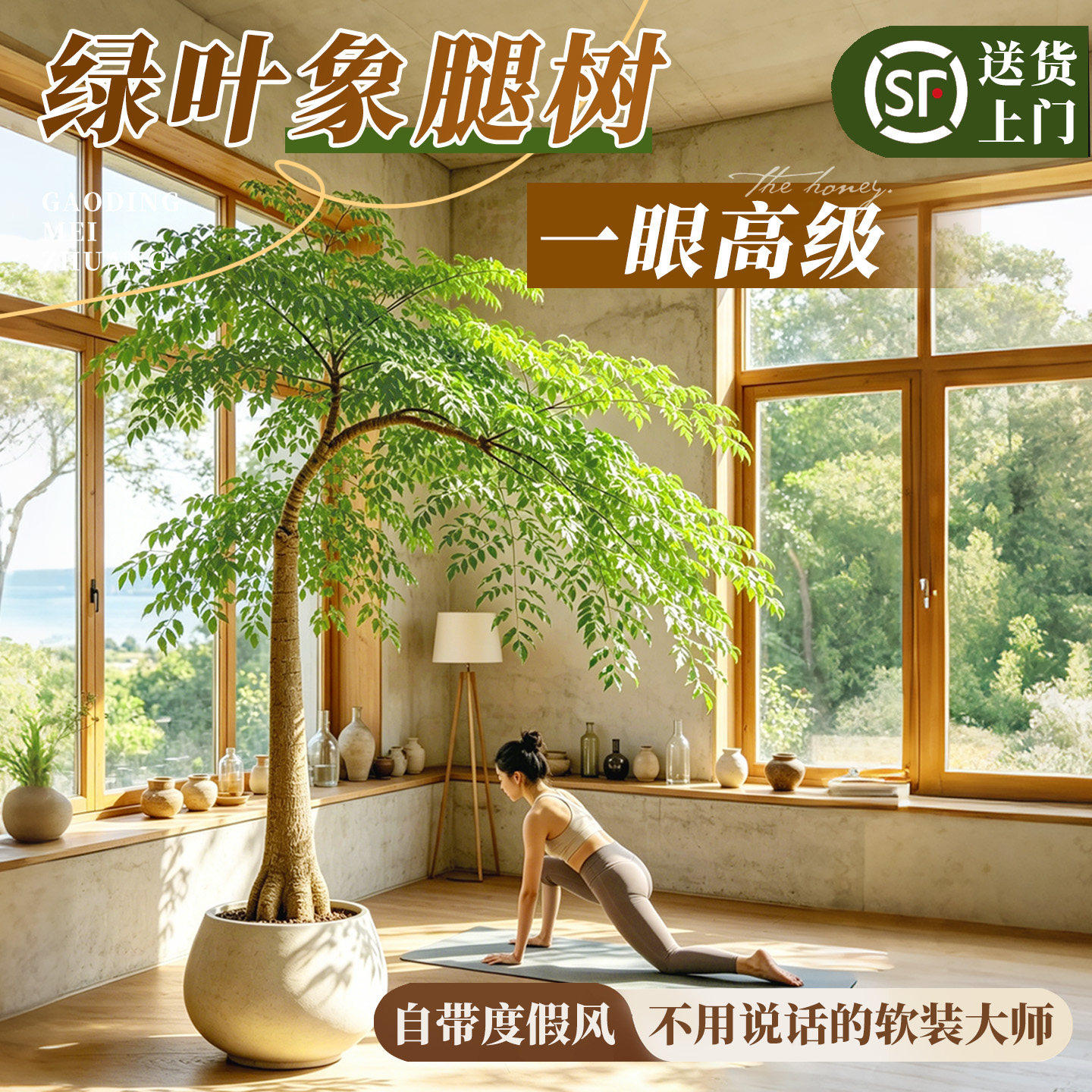 高级感象腿树客厅大盆栽室内落地