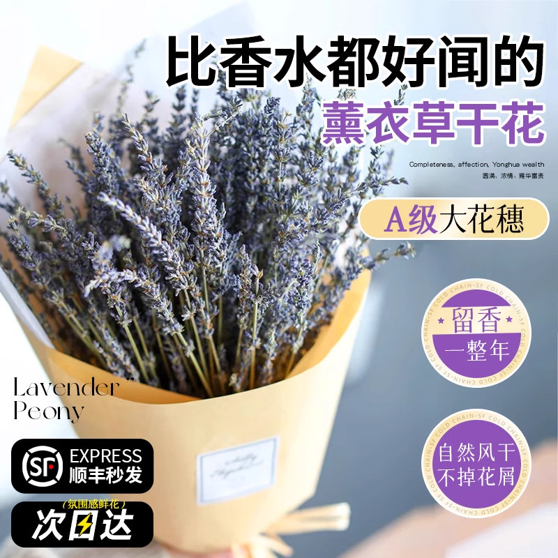 薰衣草干花花束客厅摆设真花风干
