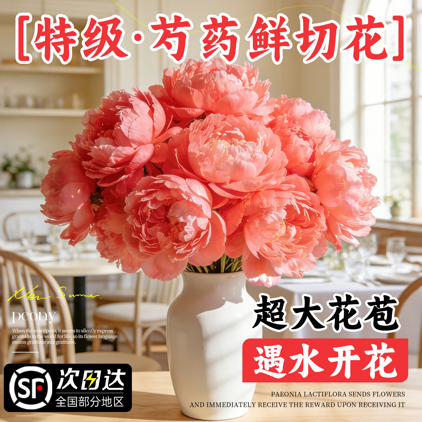 芍药鲜花云南直发重瓣芍药鲜切花