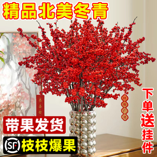 进口北美冬青鲜花切枝红果盆栽年宵花束银柳水培植物室内花卉真花