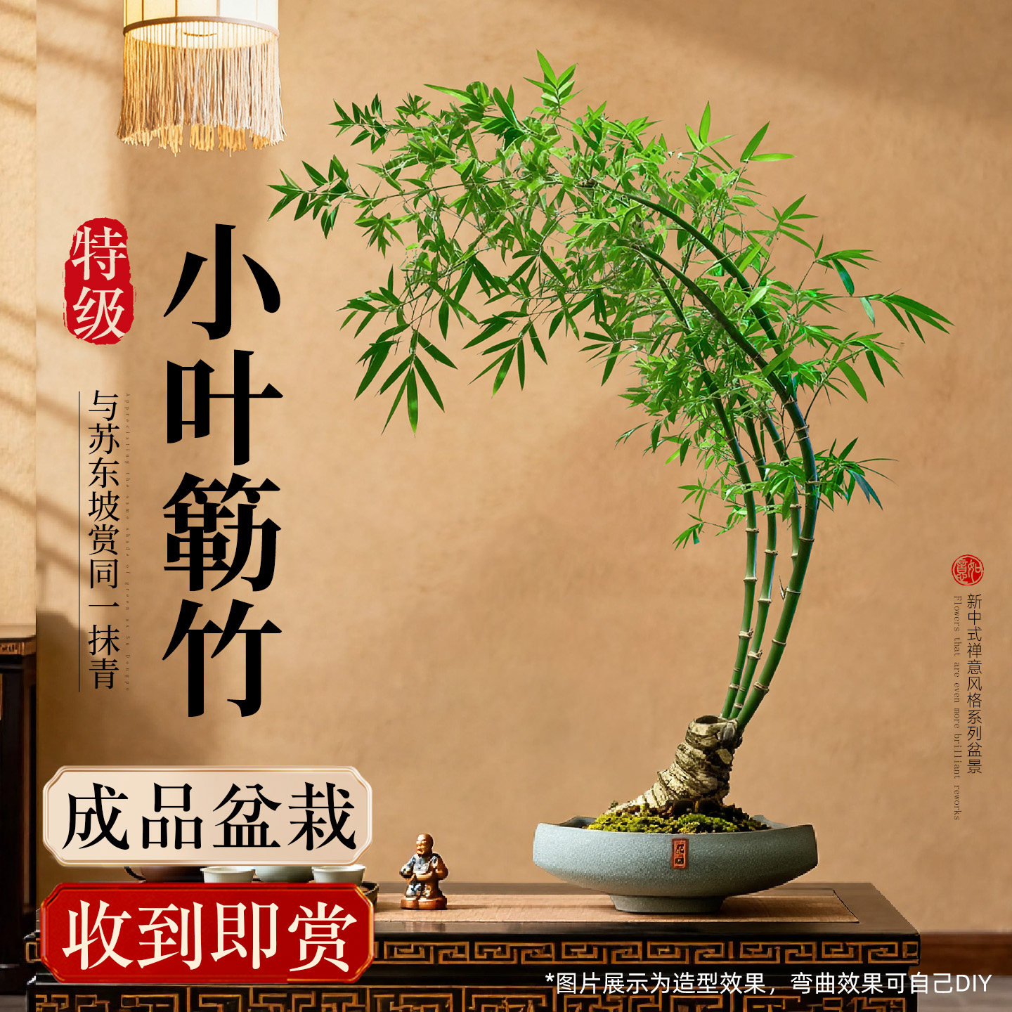 大型绿植小叶簕竹成品盆景老桩勒竹竹子室内客厅盆栽禅意好养植物,鲜花速递/花卉仿真/绿植园艺,造型盆景,淘宝优惠券,粉丝福利购,淘宝优惠卷