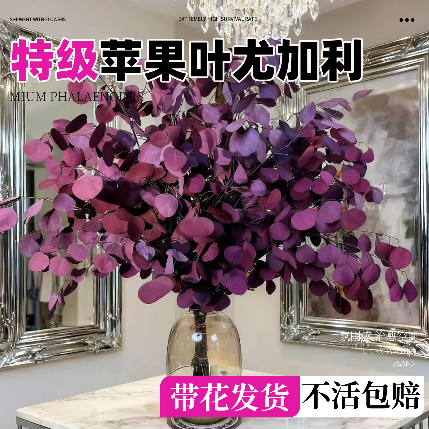 苹果叶尤加利永生花客厅高级感摆设真花风干天然树叶摆件干花花束