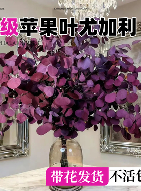 苹果叶尤加利永生花客厅高级感摆设真花风干天然树叶摆件干花花束