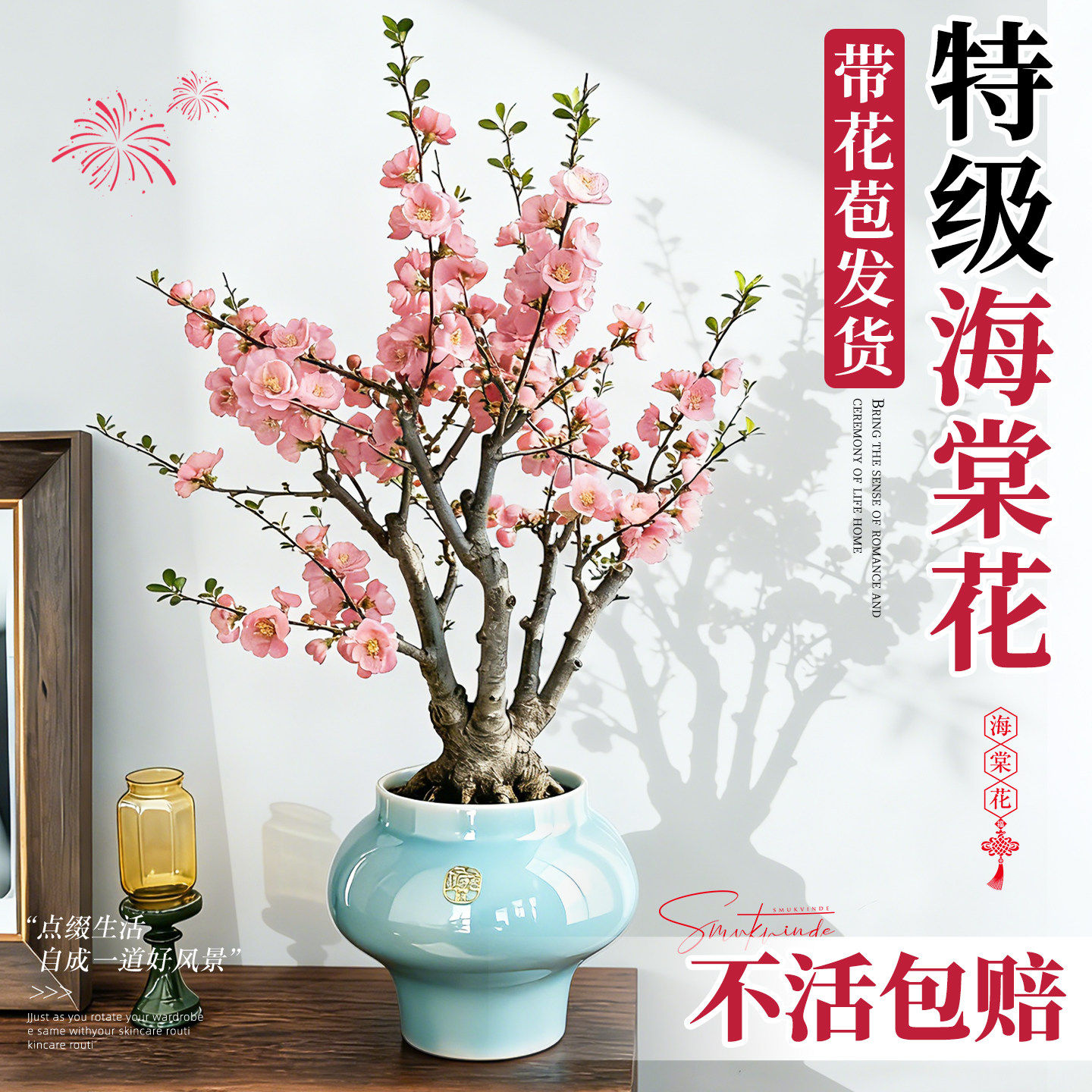 海棠花盆栽带花苞垂丝海棠室内花