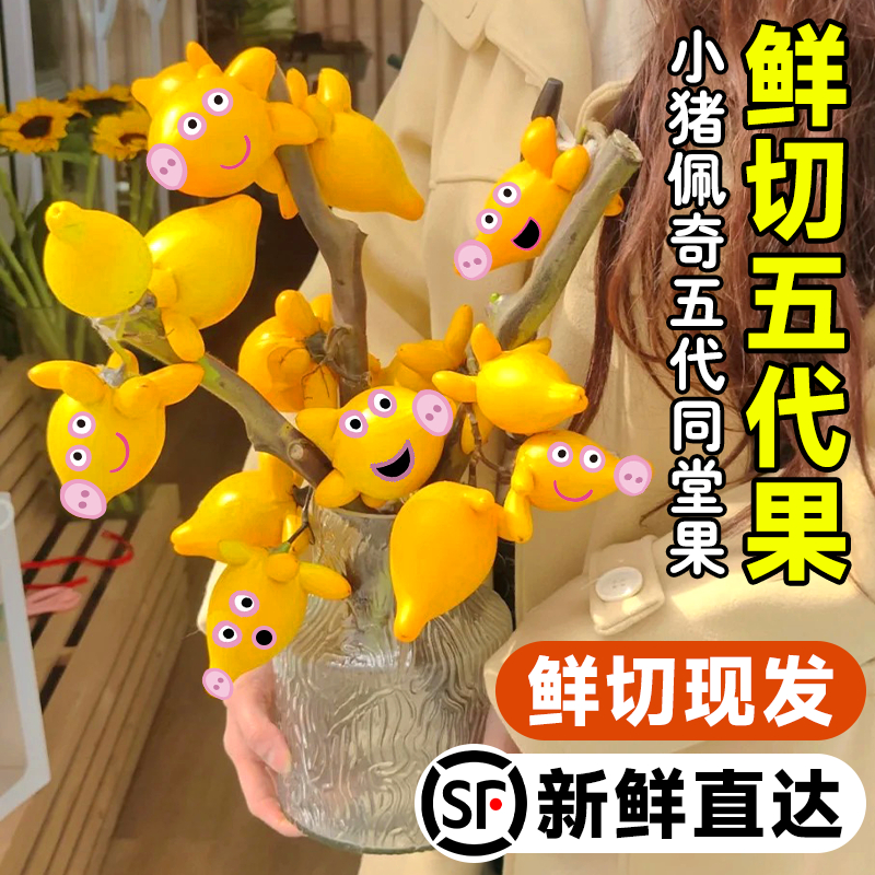 五代同堂黄金果鲜花云南直发五袋