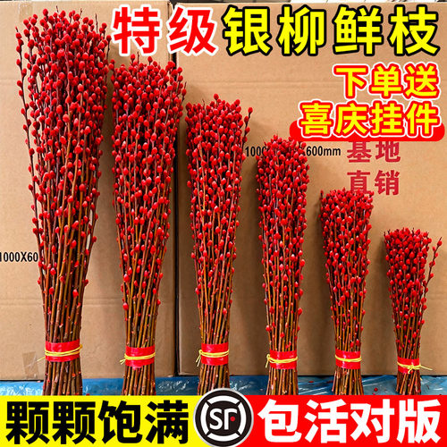 银柳鲜枝真花新年红福桶招