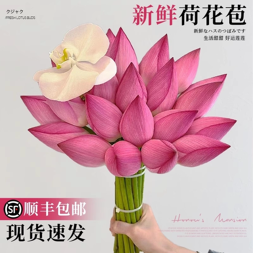 荷花鲜花鲜切花莲蓬花束花期长好
