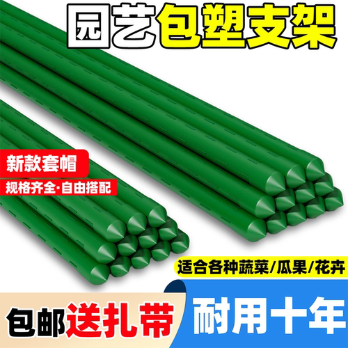 爬藤架花架包塑钢管西红柿黄瓜