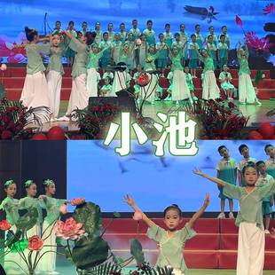 小池舞蹈演出服儿童六一学生合唱团表演服国风古典舞荷花荷叶道具