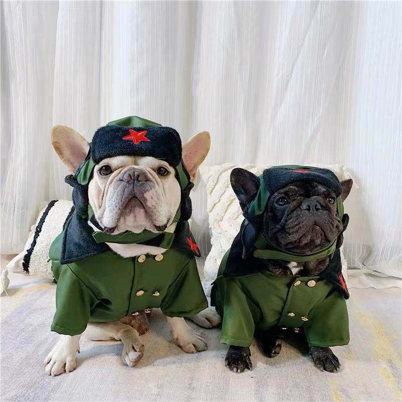 法斗专用狗狗衣服宠物加厚保暖军大衣搞笑斗牛犬巴哥犬恶霸犬帽子