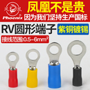 凤凰RV接线端子圆形冷压铜接头线鼻子电线快速插拔并线OT国标 正品