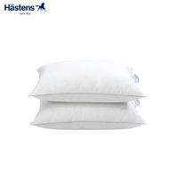 【官方正品】Hastens 海丝腾 羽绒枕枕芯3/7鹅毛鹅绒混合标准枕型
