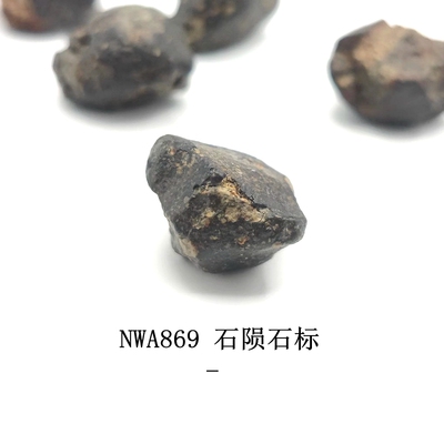 天然NWA869石陨石原石礼物天文