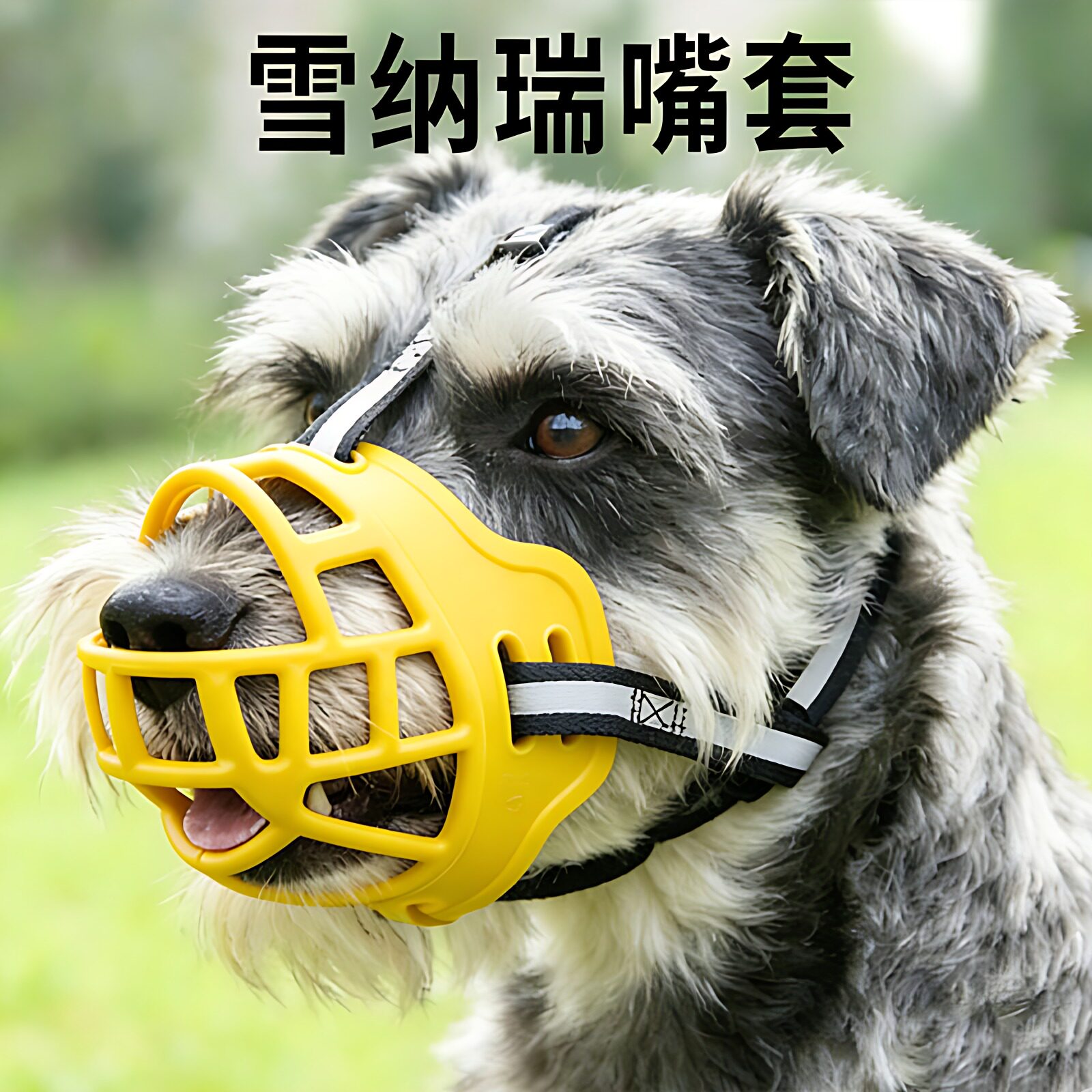 雪纳瑞嘴套狗狗专用防乱吃防咬防叫宠物扒不掉防咬人透气小型犬
