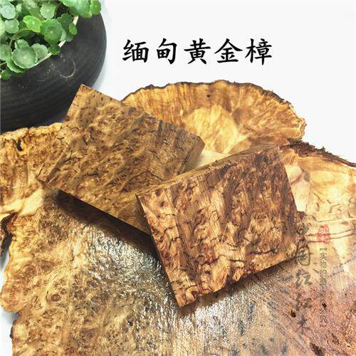 缅甸黄金樟木料瘤疤料雕刻料刀柄弓把手串火机料原材料贴片定制