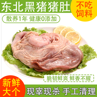 猪肚新鲜鸡汤生鲜东北正宗农家散养黑猪土猪冷冻猪肚鸡猪内脏顺丰