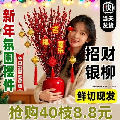 银柳真花鲜枝客厅摆件红色年宵花花卉干花干枝盆栽抱抱桶水培植物
